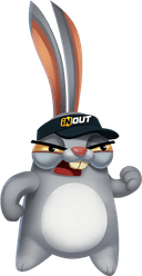 Coniglio Rabbit Road